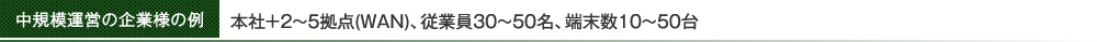 中規模運営の企業様の例　本社＋2～5拠点(WAN)、従業員30～50名、端末数10～50台