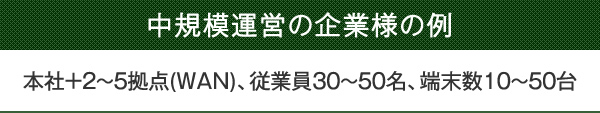 中規模運営の企業様の例　本社＋2～5拠点(WAN)、従業員30～50名、端末数10～50台