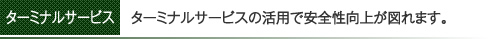 ターミナルサービスの活用で安全性向上が図れます。