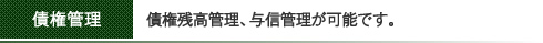 債権残高管理、与信管理が可能です。