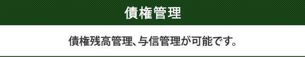 債権残高管理、与信管理が可能です。